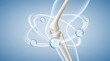 © Vector_Artist - Healthy knee joint of a human leg with vitamins and minerals around it. Vitamin, сollagen, minerals and calcium for healthy bone joint. Vector realistic illustration