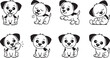 © md - Cute black and white puppy dog showing different emotions and playful poses isolated