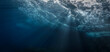 © Johan - Underwater photograhy of rays of sunlight coming through the wild ocean surface.