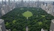 © Creativeraf - Aerial view of a park surrounded by skyscrapers in urban environment