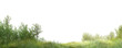 © Saharattaphum - green grass background/Fresh green grass field with trees isolated on white background, panoramic nature landscape with copy space for design and commercial use.