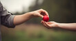 © MistoGraphy - Gentle exchange of a vibrant red Easter egg between two hands, symbolizing springtime traditions and affectionate gifting during the festive season.