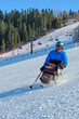 © Alex - special ski for a person in a stroller for skiing on the mountain slopes