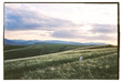 © Olly R/Stocksy - Film photo of little girl running across the big field with landscape