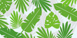© Annas - Leaves background with summer fun design concept, abstract illustration with exotic jungle leaves, colorful design, summer background, tropical leaves.Tropical leaf background, palm leaves, monstera