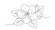 © Tatang - Elegant single line drawing of a blooming flower with leaves, minimalist botanical art, sketch style