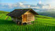 © diyah - A rustic old wooden cabin sits nestled in a lush green mountain landscape under a summer sky, surrounded by traditional rural architecture and a forest field in the quiet countryside
