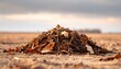 © Fitristudio - FlyPro Firefly realistic photography of a pile of dry decaying brittle brown vegetation forming a thin layer on barren soil