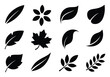 © Nasir - Collection of Black Leaf Silhouettes on White Background
