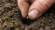 © likwhynote - Close up of hands planting seeds in rich soil, gardening and growth concept, sustainable agriculture.