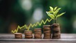 © Boonnam Burart - Growth of Investment Concept with Coins and Green Plant Representing Financial Success and Prosperity