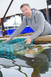 © auremar - a man is harvesting oysters