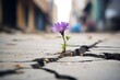 © nsit0108 - Purple flower pushing through cracked urban asphalt, symbolizing resilience and overcoming adversity