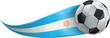 © doom.ko - Soccer ball with the colors of the Argentina flag, realistic effect. vector illustration