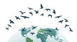© Farooqi - Flock of birds flying around the earth globe symbolizing freedom and global travel on white background