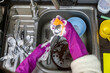 © phpetrunina14 - Washing dishes in kitchen sink with purple rubber gloves Copy Space