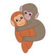 © Olga Igumenova - Punch monkey with toy mother isolated transparent background. Perfect for kids child t-shirt print zoo poster cover design and World Hugs Day card cover. Editable stroke Vector illustration EPS 10
