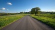 © AkuAku - Open asphalt road stretching through natural rural scenery with dandelions blooming on a clear spring afternoon