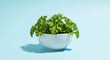 © wrisand - Fresh parsley sprigs in a small white bowl