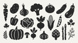 © Jolly J - Vegetables silhouette collection. Black icons set - carrot, potato, onion, broccoli, tomato, cucumber, cabbage, pumpkin, corn, garlic. Vector linocut style minimalist design elements.