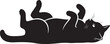 © Sultan - Black cat lying on its back with a contented expression and a playful pose.