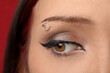 © New Africa - Woman with eyebrow piercing and perfect makeup on red background, closeup
