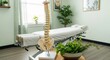 © adv1006 - Chiropractic Clinic Interior with Spine Model and Treatment Table.