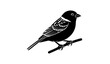 © MD HAJIRUDDIN - Sparrow perched on branch vector silhouette small bird logo stencil isolated on white