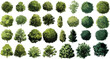 © Pixel Park - Collection of various green trees in different shapes and sizes with watercolor style nature plant foliage