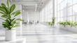 © Farah - A potted plant sits on a white table in a modern office space with large windows and a minimalist aesthetic