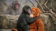 © tong4130 - Frightened baby macaque turning back holding an orange doll