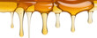 © yazar pic - liquid dripping sweet honey food isolated on white or transparent png