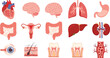 © Aminul - Set of human internal organ vector illustrations featuring heart brain lungs stomach liver kidneys intestines and dental anatomy on white background