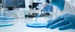© Yuliia - Laboratory scientist in blue gloves using pipette to transfer sample into petri dish for medical research and scientific analysis in modern lab.