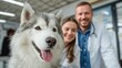 © LimeSky - Owner brought her adorable husky to see a male vet at the clinic