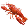 © Best - Vivid red lobster with claws detailed isolated on white background