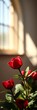 © Boonyapawn - Scarlet amplitude graces linearity, a joyful accent ,  joyful accent,  high key