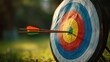 © risastudio - An arrow hitting the bullseye of a vibrant, colorful archery target during outdoor practice or competition