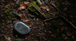 © APON STUDIO  - rock with symbol on forest floor