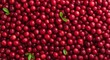 © Ilja - Glossy Cranberries Densely Packed Together in a Vibrant Repeating Pattern with Green Leaves Accent