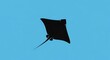 © lomi - Black stingray flying in blue sky.