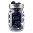 © IntelliArt - Blackberries in a glass mason jar