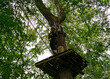 © Stefanie - Young woman stepping forward on treetop platform in adventure park