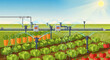 © Indah - Automated irrigation system for fresh vegetables and carrots in a sunlit field