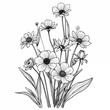 © asasima - Elegant Black and White Hand-Sketched Flower Illustration Collection