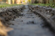 © Henryk Niestrój - Głębokie koleiny na błotnistej, wiejskiej drodze. Detal śladów opon w mokrej ziemi. Symbol trudnych warunków komunikacyjnych, off-roadu i wiejskiego krajobrazu.