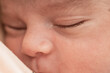 © Octavio - Macro close up of a sleeping newborn baby face showing delicate eyelashes, soft skin texture and peaceful expression, concept of calm infancy and early life.
