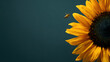 © ศุภชัย ขอมคง - Honey Bee Approaching a Vibrant Yellow Sunflower on Dark Teal Background