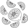 © Kausar - Lemon Slices Scattered Vector Silhouette Graphic Citrus Fruit Food Ingredient