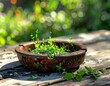 © juliusse - Old rusty metal ashtray with weeds growing inside on a weathered garden table